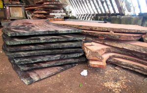 Stacked Lukwej slabs in WAM's Canoe House. Photo: Sealend Laide