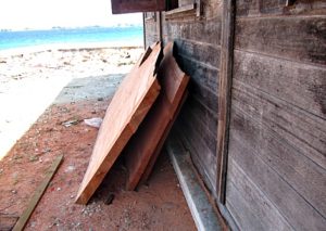 Lukwej slabs curing. Photo: Sealend Laiden